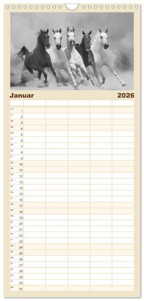 Produktbild: Familienplaner 2026 - Arabische Pferde mit 5 Spalten (Wandkalender, 21 x 45 cm) CALVENDO
