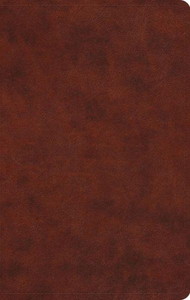 Produktbild: ESV Large Print Value Thinline Bible