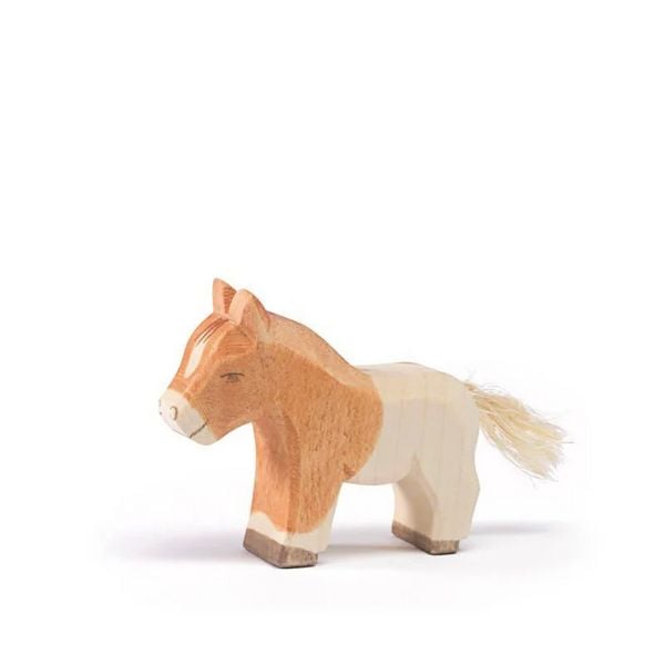 Produktbild: Shetland Fohlen