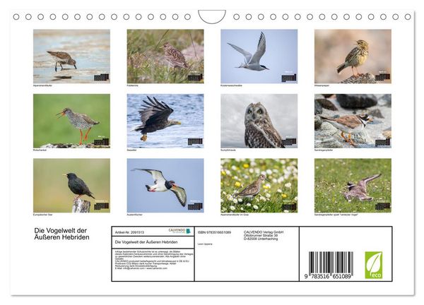 Produktbild: Die Vogelwelt der &Auml;u&szlig;eren Hebriden (Wandkalender 2026 DIN A4 quer), CALVENDO Monatskalender