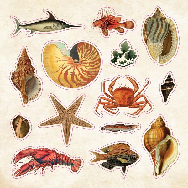 Produktbild: The Sticker Book of Curiosities (Over 750 Stickers)