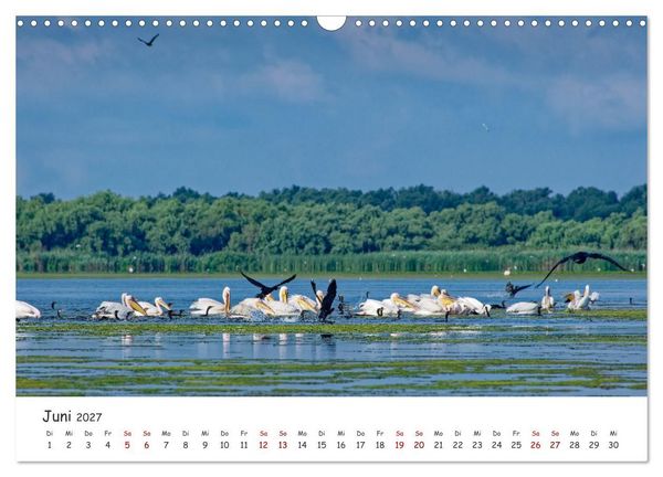 Produktbild: Donau-Delta (Wandkalender 2027 DIN A3 quer), CALVENDO Monatskalender