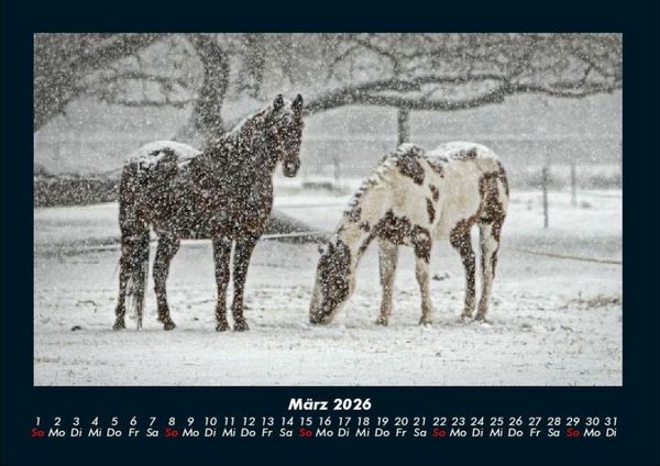 Produktbild: Die Welt der Pferde 2026 Fotokalender DIN A4