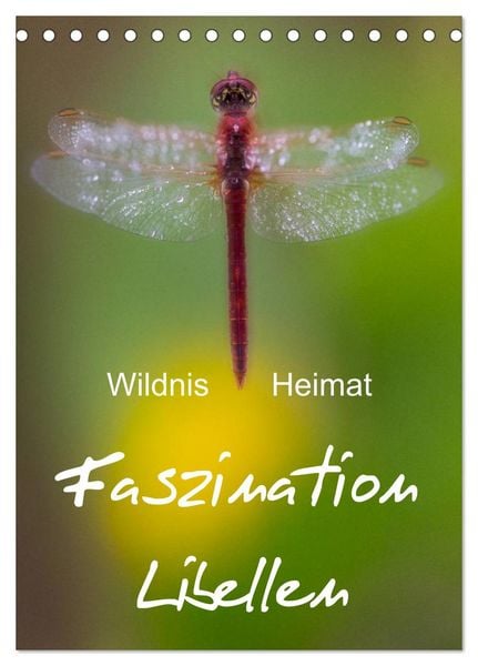 Produktbild: Faszination Libellen - Wildnis Heimat (Tischkalender 2026 DIN A5 hoch), CALVENDO Monatskalender