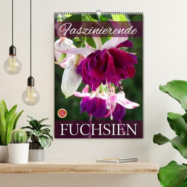 Produktbild: Faszinierende Fuchsien (Wandkalender 2026 DIN A2 hoch), CALVENDO Monatskalender