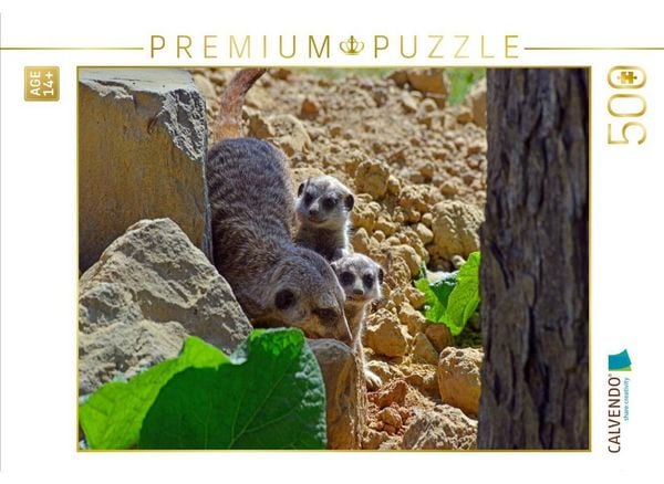 CALVENDO Puzzle Ein Motiv aus dem Kalender Erdmännchens Kinderstube | 500 Teile Lege-Größe 48 × 36 cm Foto-Puzzle für Erwachsene