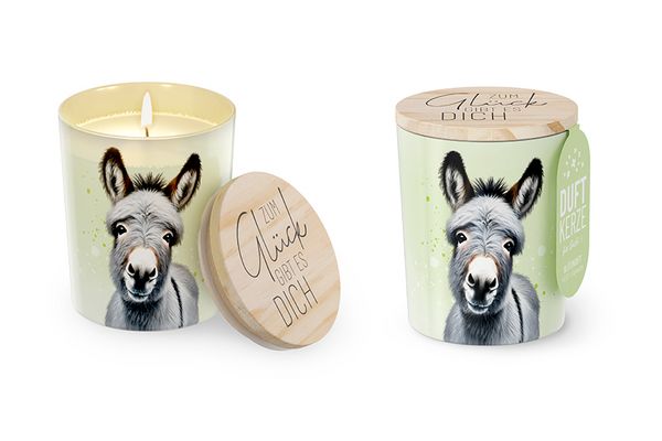 Produktbild: Duftkerze D7H8 Esel