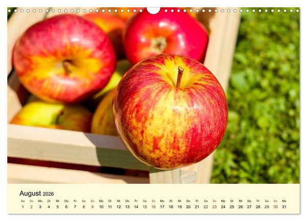 Produktbild: Saftig-knackige &Auml;pfel und k&ouml;stliche S&uuml;&szlig;speisen (Wandkalender 2026 DIN A3 quer), CALVENDO Monatskalender