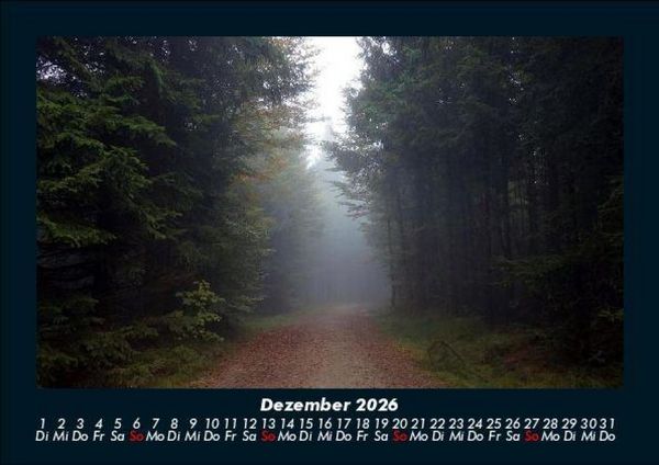 Produktbild: Waldzauber 2026 Fotokalender DIN A5