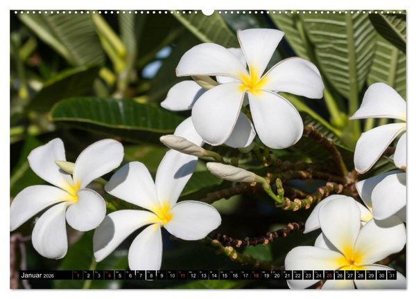 Produktbild: Hawai'i - Teil 1 (hochwertiger Premium Wandkalender 2026 DIN A2 quer), Kunstdruck in Hochglanz