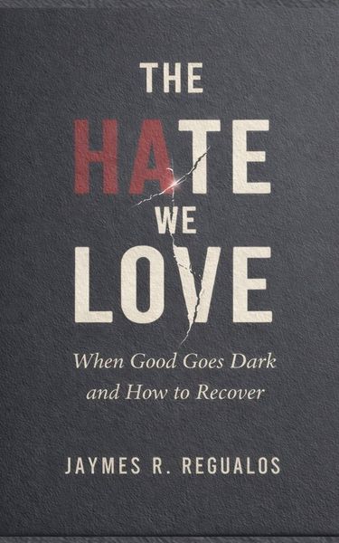 Produktbild: The Hate We Love