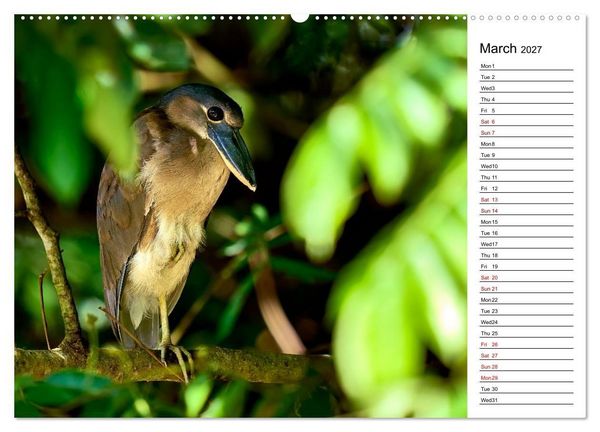 Produktbild: Feel the Wild &ndash; Costa Rica (Wall Calendar 2027 DIN A2 landscape), CALVENDO 12 Month Wall Calendar