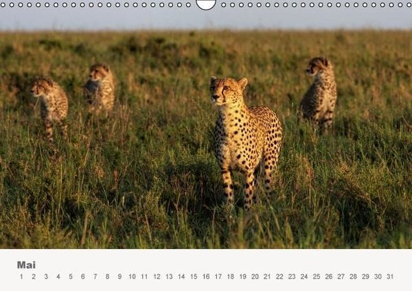 Produktbild: Faszination Ostafrika - Tierwelt und Natur aus Kenia und Tansania (Wandkalender immerw&auml;hrend DIN A3 quer)