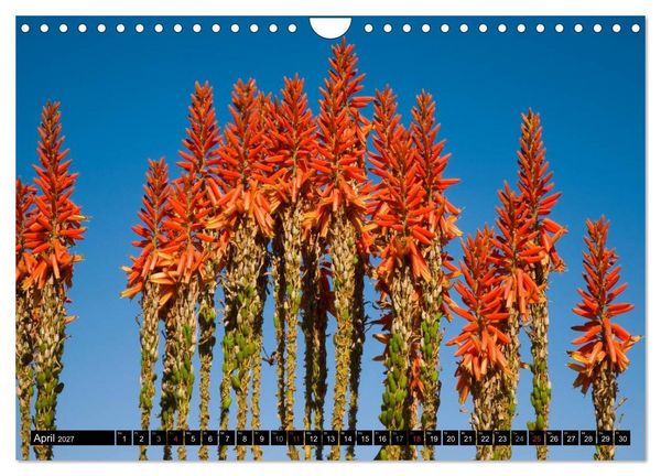 Produktbild: Namib Naukluft Nationalpark. NAMIBIA 2027 (Wandkalender 2027 DIN A4 quer), CALVENDO Monatskalender