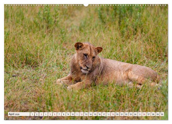 Produktbild: Wildnis Okavango-Delta (hochwertiger Premium Wandkalender 2026 DIN A2 quer), Kunstdruck in Hochglanz
