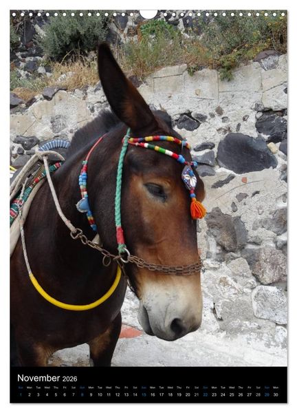 Produktbild: Santorini - Greece (Wall Calendar 2026 DIN A3 portrait), CALVENDO 12 Month Wall Calendar