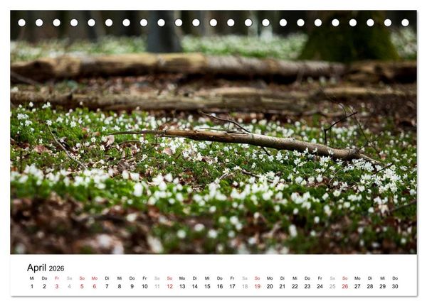 Produktbild: R&uuml;gen (Tischkalender 2026 DIN A5 quer), CALVENDO Monatskalender