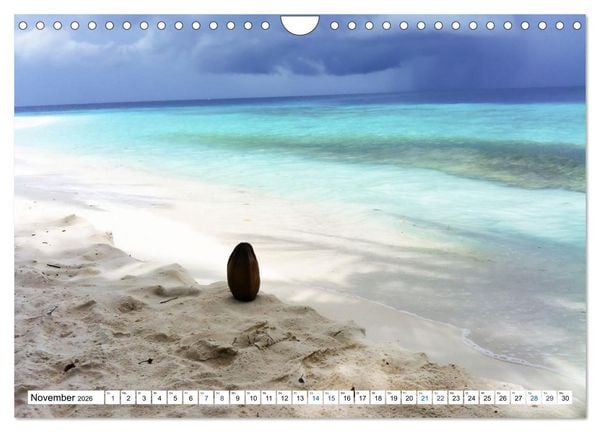 Produktbild: MALEDIVEN Wunderwelt (Wandkalender 2026 DIN A4 quer), CALVENDO Monatskalender