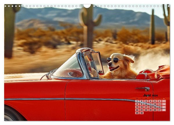 Produktbild: S&uuml;&szlig;e Hunde cruisen - durch das Jahr mit dem Hundekalender (Wandkalender 2026 DIN A3 quer), CALVENDO Monatskalender