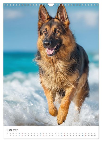 Produktbild: Seelenblick Sch&auml;ferhund (Wandkalender 2027 DIN A3 hoch), CALVENDO Monatskalender