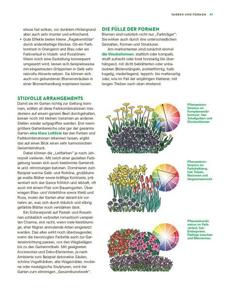 Produktbild: Das gro&szlig;e Buch der Stauden und Sommerblumen
