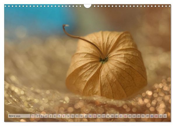 Produktbild: Kunstvolle Physalis-Kleine Frucht von gro&szlig;er Faszination (Wandkalender 2026 DIN A3 quer), CALVENDO Monatskalender