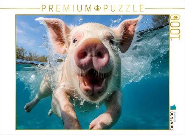Produktbild: CALVENDO Puzzle Gl&uuml;cksschweinchen | 1000 Teile Lege-Gr&ouml;&szlig;e 64x48cm Foto-Puzzle f&uuml;r gl&uuml;ckliche Stunden