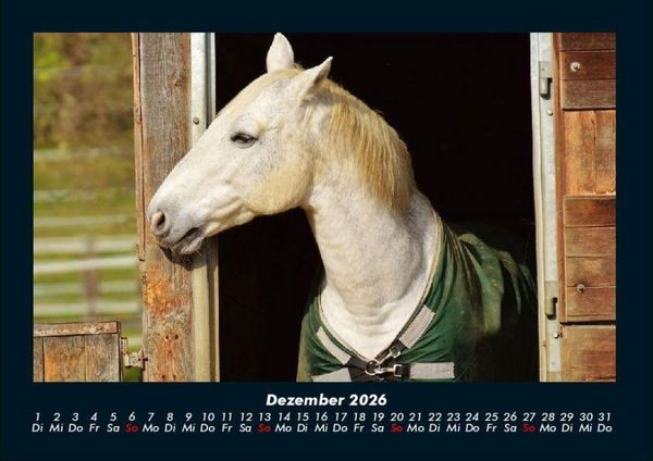 Produktbild: Die Welt der Pferde 2026 Fotokalender DIN A4