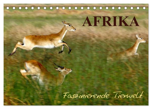 Produktbild: Afrika - Faszinierende Tierwelt (Tischkalender 2026 DIN A5 quer), CALVENDO Monatskalender