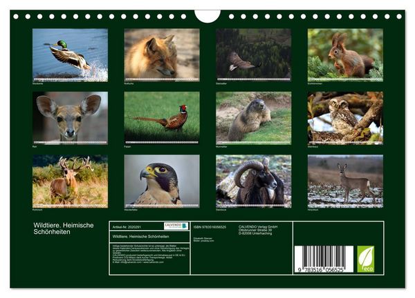 Produktbild: Wildtiere. Heimische Sch&ouml;nheiten (Wandkalender 2026 DIN A4 quer), CALVENDO Monatskalender