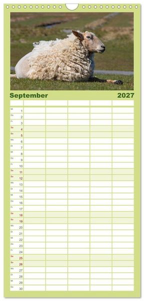 Produktbild: Familienplaner 2027 - Deichschafe - H&uuml;ter der Deiche in Nordfriesland mit 5 Spalten (Wandkalender, 21 x 45 cm) CALVENDO
