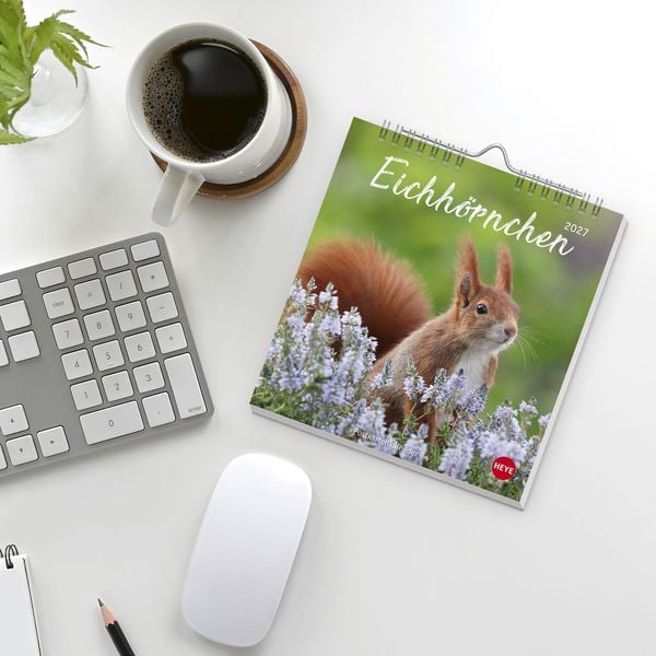 Produktbild: Eichh&ouml;rnchen Postkartenkalender 2027