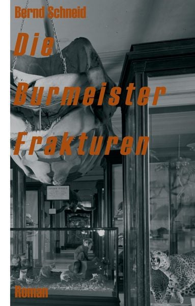 Produktbild: Die Burmeister Frakturen