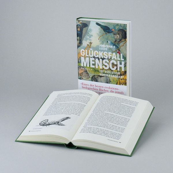 Produktbild: Gl&uuml;cksfall Mensch