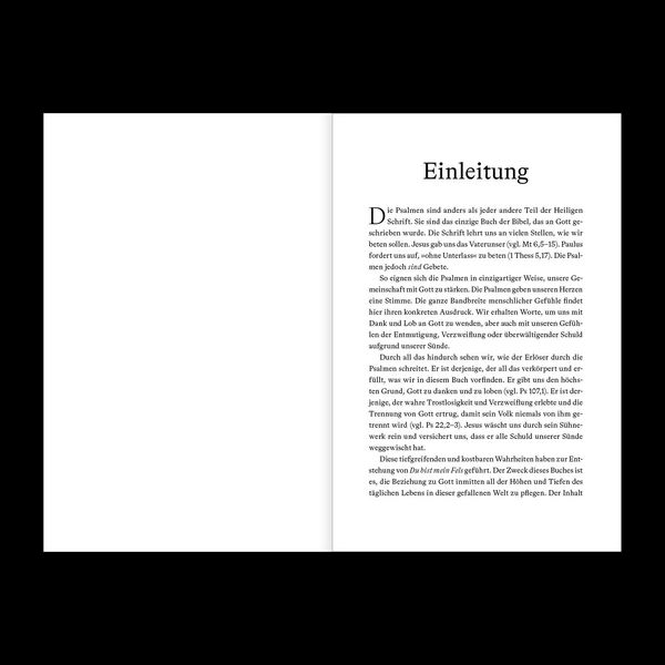 Produktbild: Du bist mein Fels