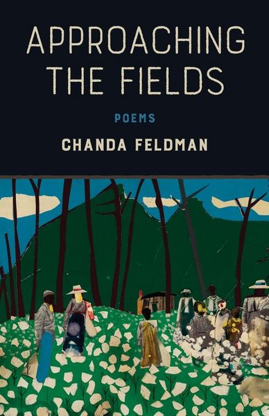 Produktbild: Approaching the Fields