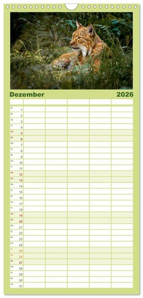Produktbild: Familienplaner 2026 - Der Luchs - Begegnungen mit einer Raubkatze mit 5 Spalten (Wandkalender, 21 x 45 cm) CALVENDO