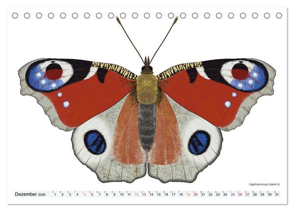 Produktbild: Schmetterlinge illustriert (Tischkalender 2026 DIN A5 quer), CALVENDO Monatskalender