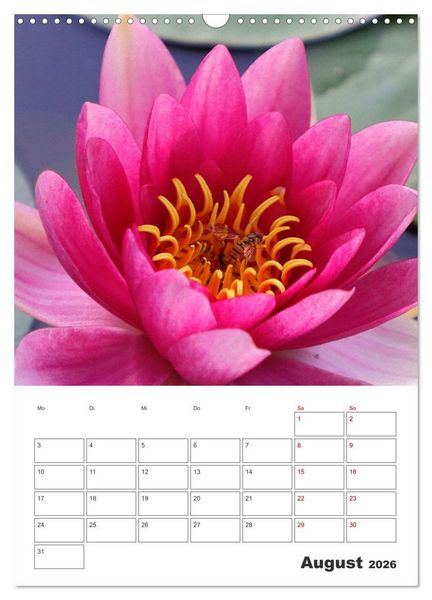 Produktbild: BL&Uuml;TENZAUBER (Wandkalender 2026 DIN A3 hoch), CALVENDO Monatskalender