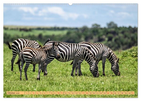 Produktbild: Magische Momente aus Kenia (Wandkalender 2026 DIN A2 quer), CALVENDO Monatskalender