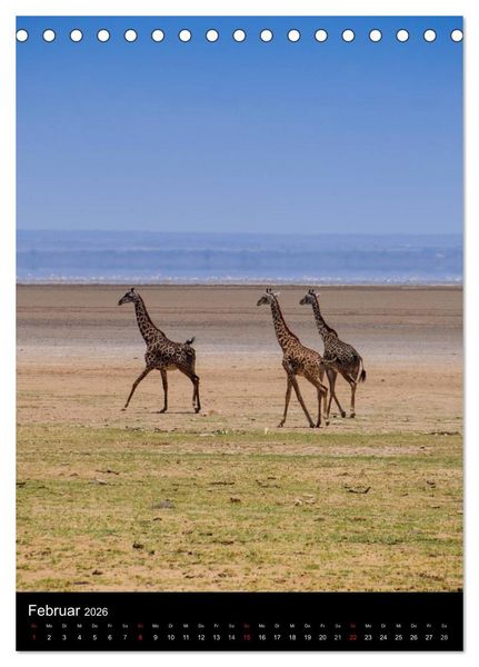 Produktbild: Wildes Afrika (Tischkalender 2026 DIN A5 hoch), CALVENDO Monatskalender