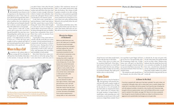 Produktbild: The Backyard Homestead Guide to Raising Farm Animals