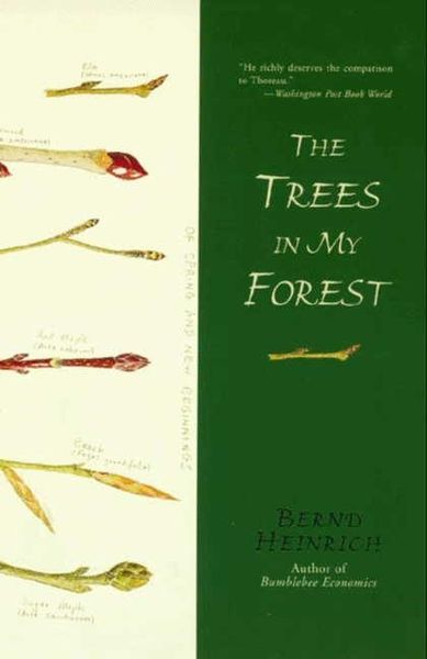 Produktbild: The Trees in My Forest