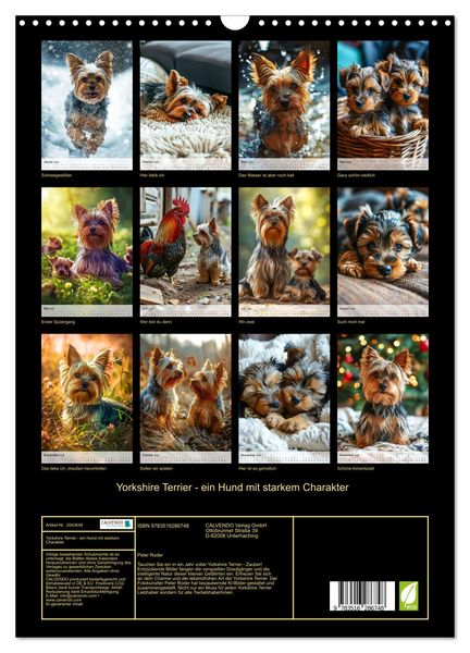 Produktbild: Yorkshire Terrier - ein Hund mit starkem Charakter (Wandkalender 2026 DIN A3 hoch), CALVENDO Monatskalender