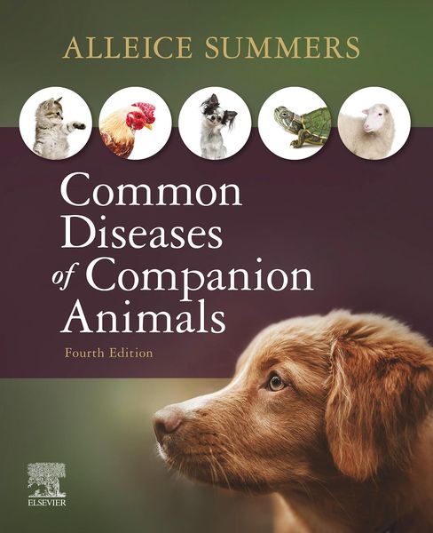 Produktbild: Common Diseases of Companion Animals E-Book