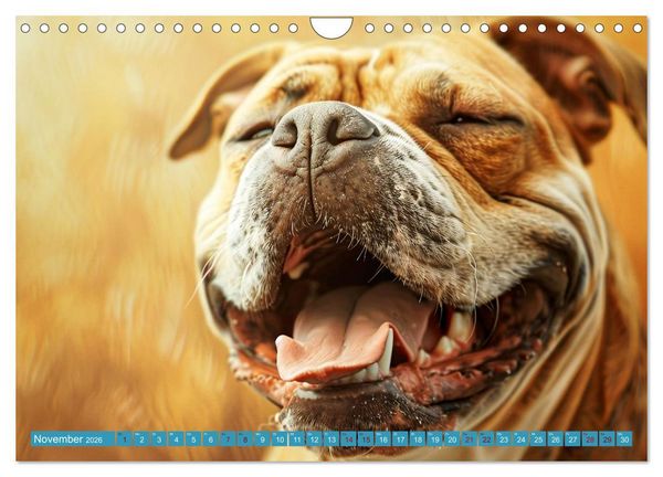 Produktbild: L&auml;chelnde Hunde sind wie Sonnenschein auf vier Pfoten (Wandkalender 2026 DIN A4 quer), CALVENDO Monatskalender