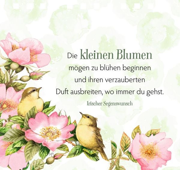 Produktbild: Zauberhafte Momente f&uuml;r jeden Tag