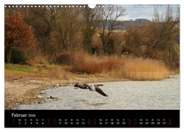 Produktbild: Traumhaft sch&ouml;ner Bodensee (Wandkalender 2026 DIN A3 quer), CALVENDO Monatskalender