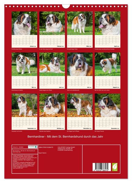 Produktbild: Bernhardiner - Mit dem St. Bernhardshund durch das Jahr (Wandkalender 2026 DIN A3 hoch), CALVENDO Monatskalender