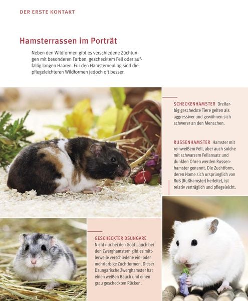 Produktbild: Hamster